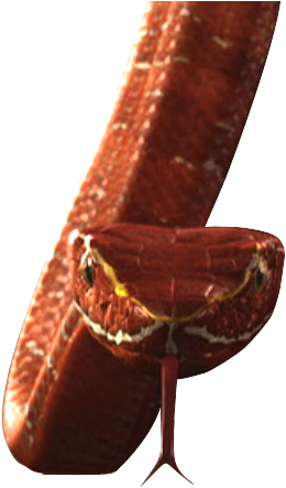 Snake - Portable Network Graphics (270x455), Png Download