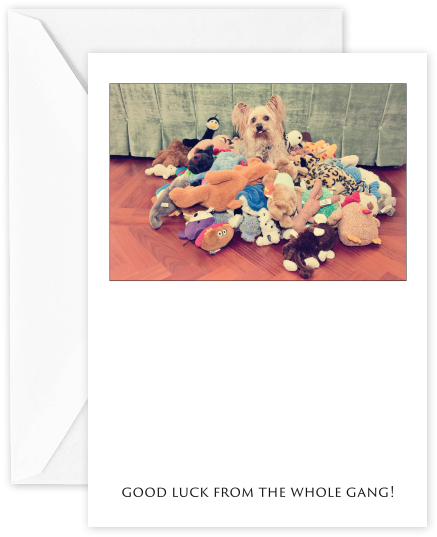 Good Luck From The Whole Gang - Craft (590x590), Png Download