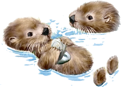 Friendly Otters - Penny Parker (432x308), Png Download