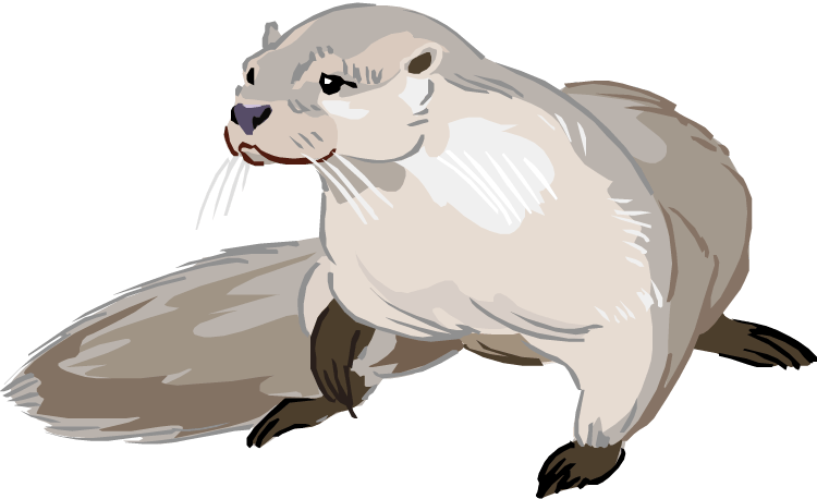 Cartoon - River Otter Clip Art (750x458), Png Download