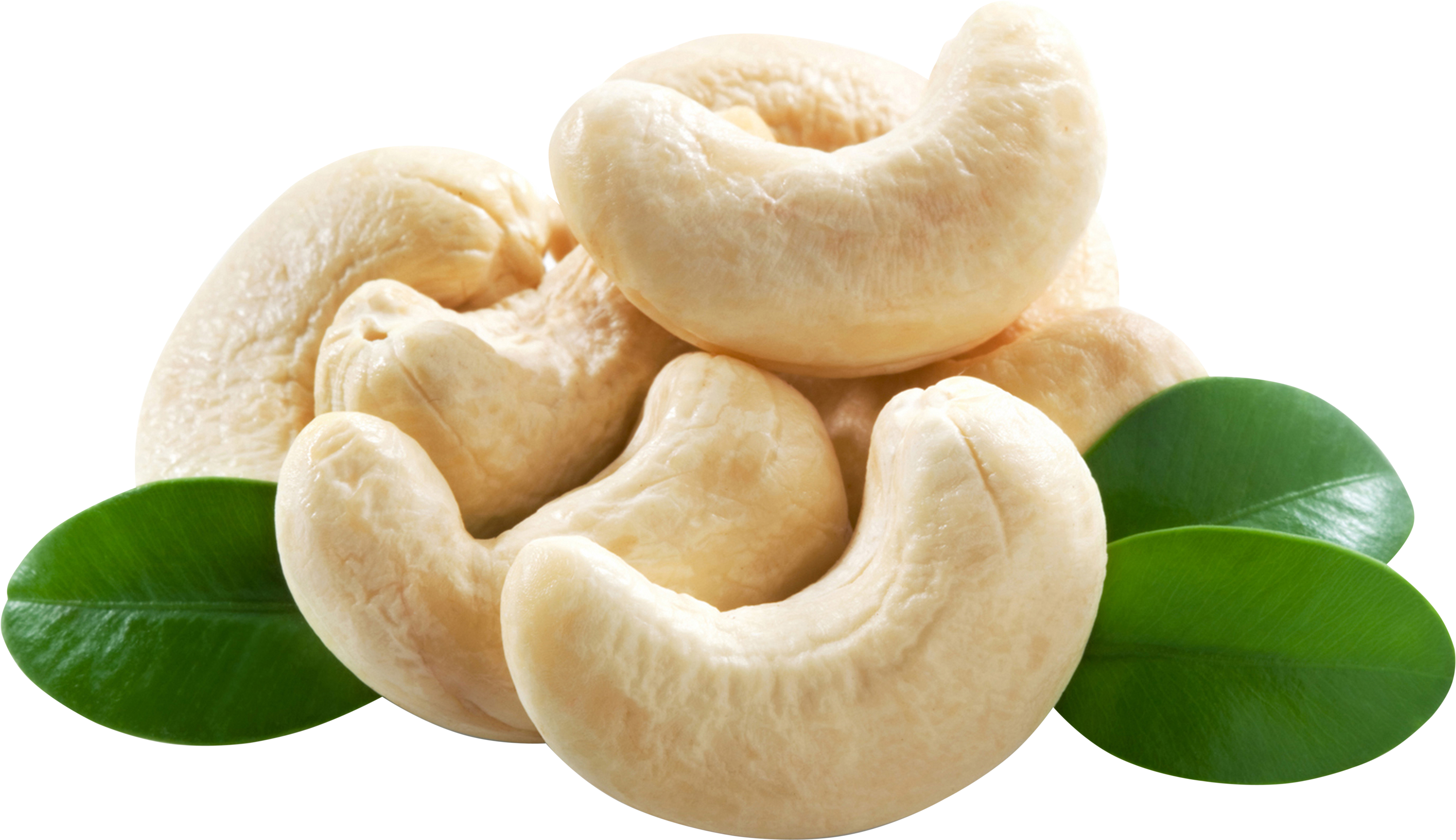 Cashew Nut Png - Cashew Nuts (3109x1793), Png Download