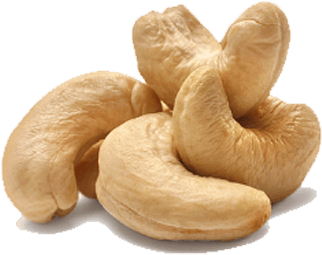 Cashew Close Up - Complete Book On Cashew (cultivation, Processing (405x504), Png Download