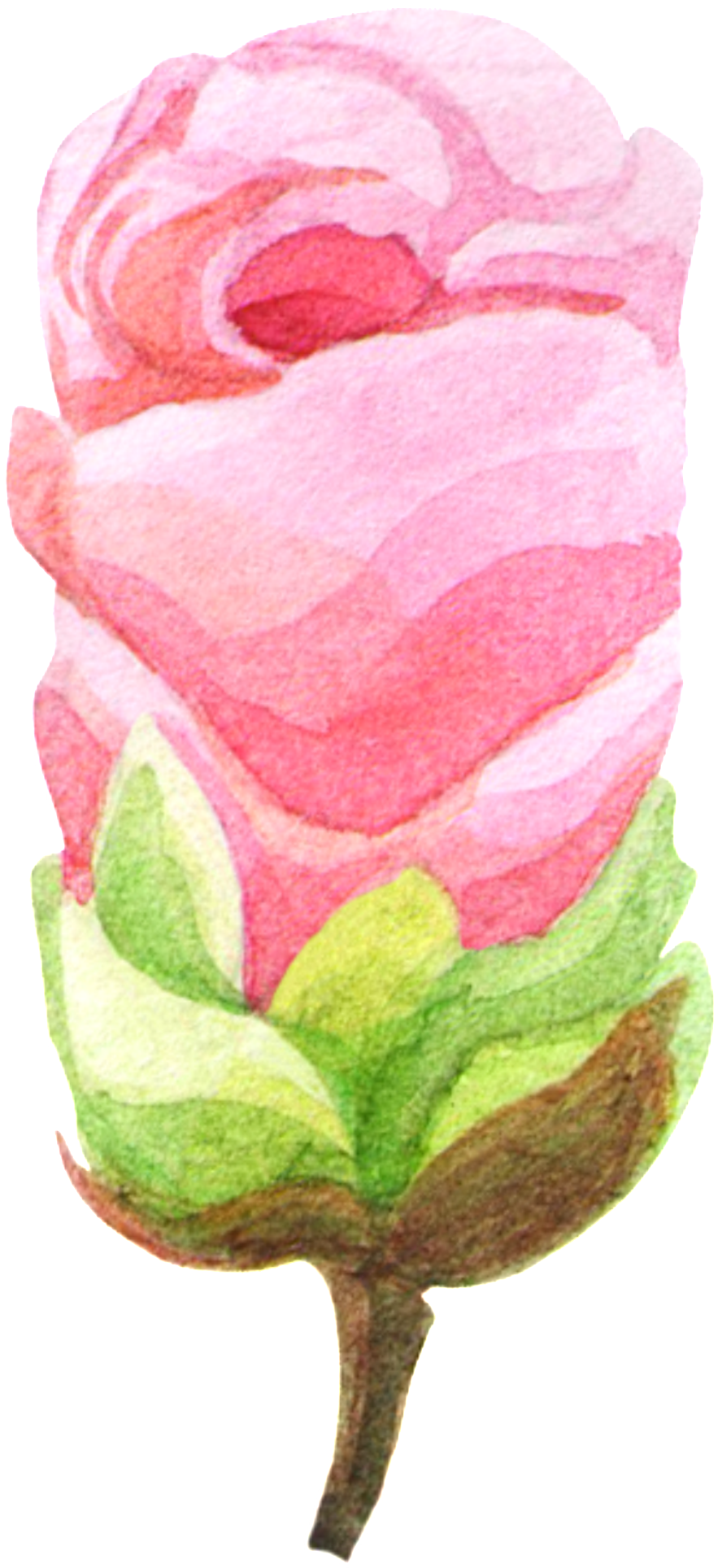 Hand-painted Rose Like Ice Cream Png Transparent Material - Portable Network Graphics (1024x2069), Png Download