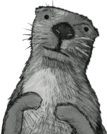 Ed The Otter - Asian Small Clawed Otter Drawing (374x451), Png Download