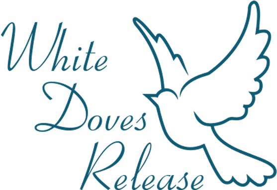 White Dove Release Lanarkshire And Glasgow - Dove Clip Art Png (600x400), Png Download