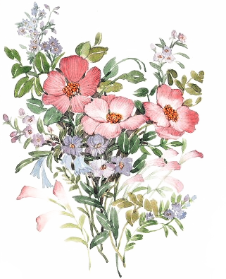 Ladylony Альбом «png Tubes / Art Flowers» На Яндекс - Flores Vitages Fundo Transparente (321x395), Png Download