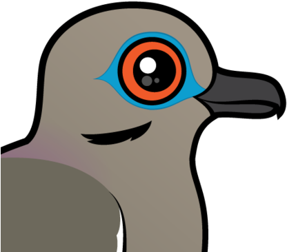 About The White-winged Dove - White Wing Dove Cartoon (440x440), Png Download