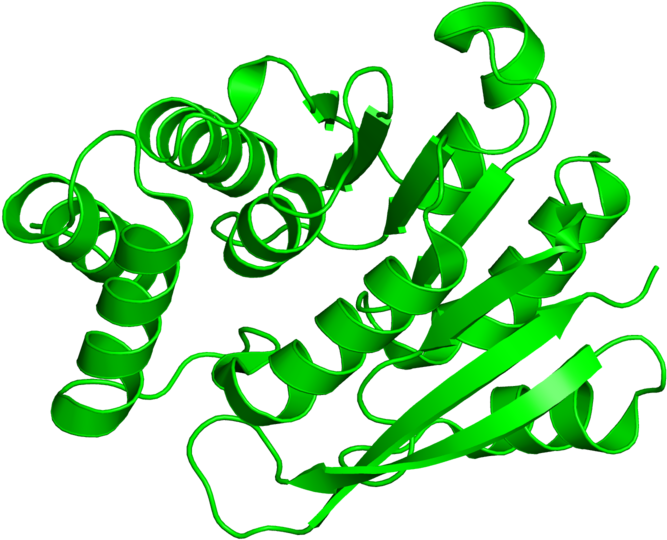 <div Class='caption-body'>1 Copy Of Cath Domain < (800x800), Png Download