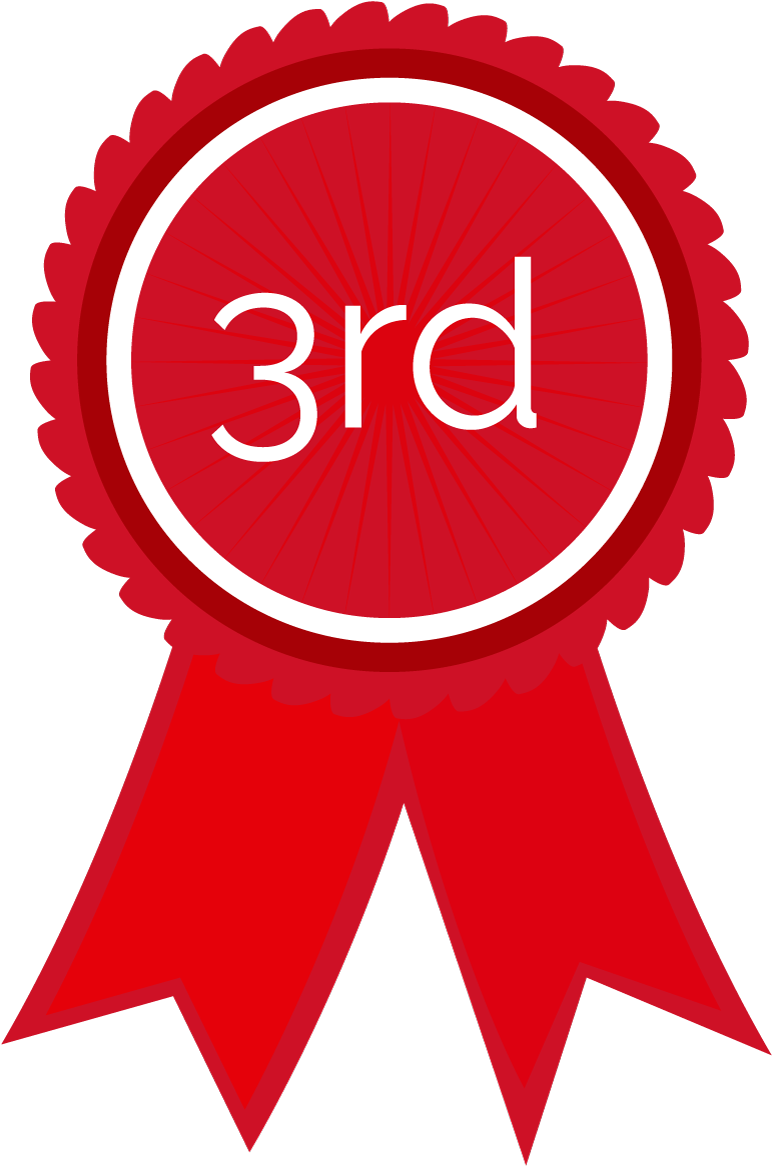 3rd Place Rosette (800x1182), Png Download