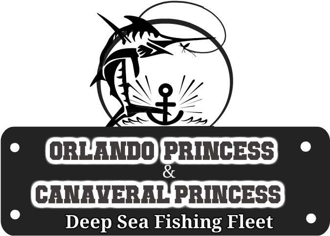 Cape Canaveral Deep Sea Fishing & Fishing Charters (696x502), Png Download