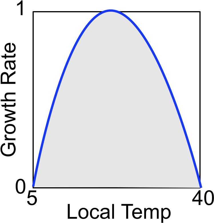 Now We Come To A Key Part Of The Model (848x876), Png Download