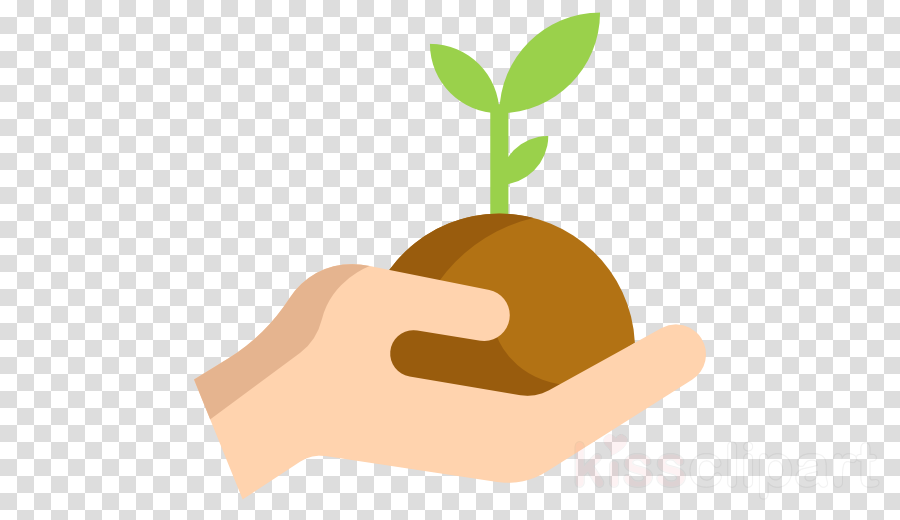 Seed Sprouting Png Clipart Brotação Seed Clip Art (900x520), Png Download