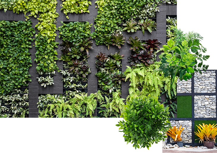 Why Choose An Artificial Plant Wall (730x516), Png Download