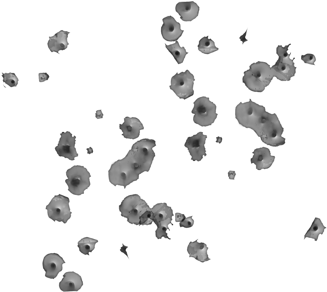 Spring Break Overkill Software (1149x1032), Png Download