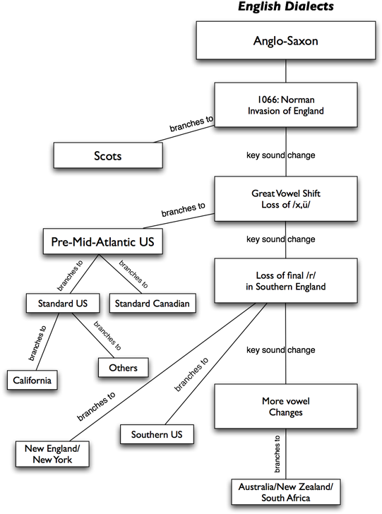 Concept Map, No Labels On Arrows, Different Shapes (544x734), Png Download