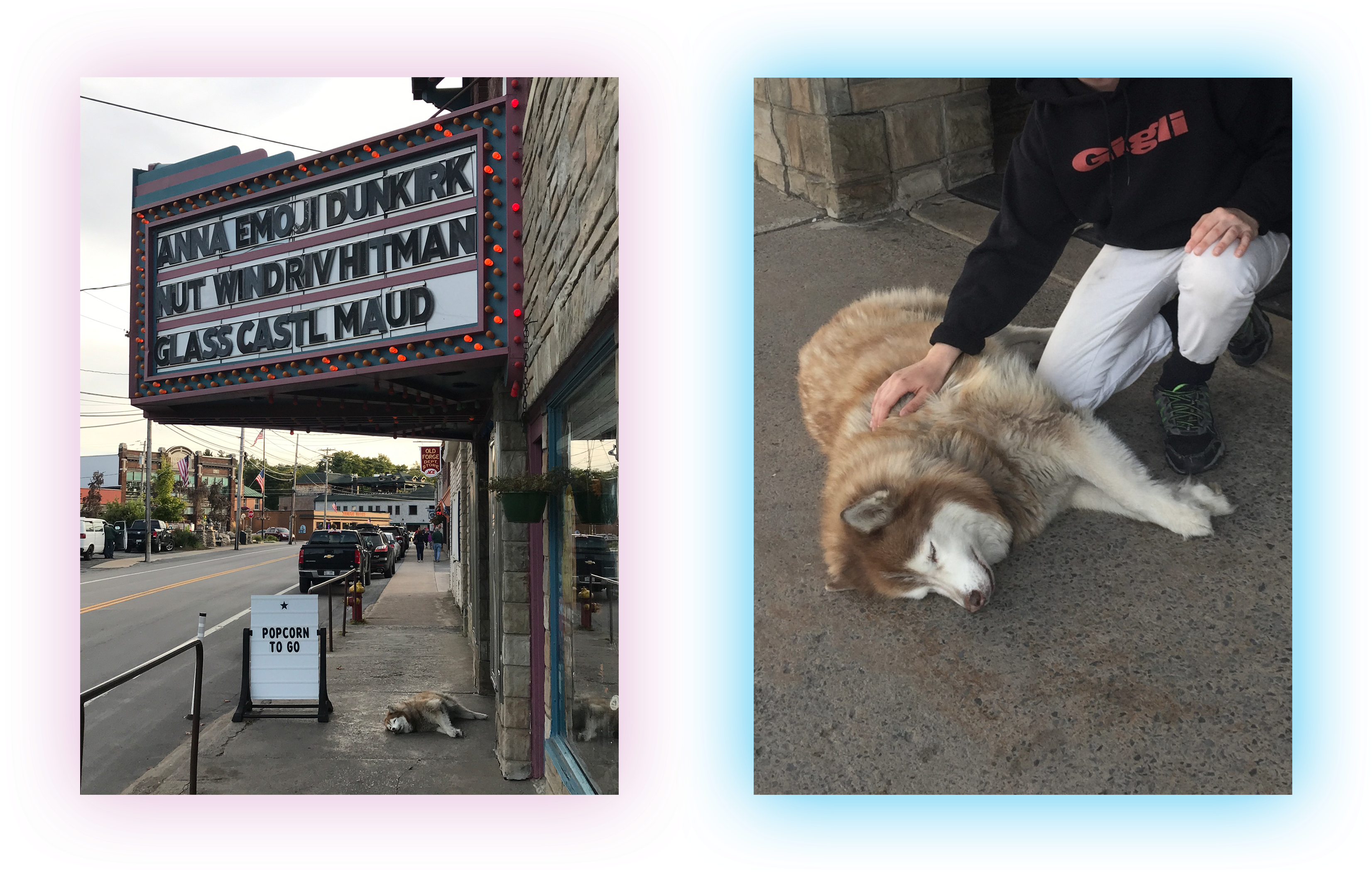 While We're On The Subject Of Having A Dog Who Lives (3561x2100), Png Download