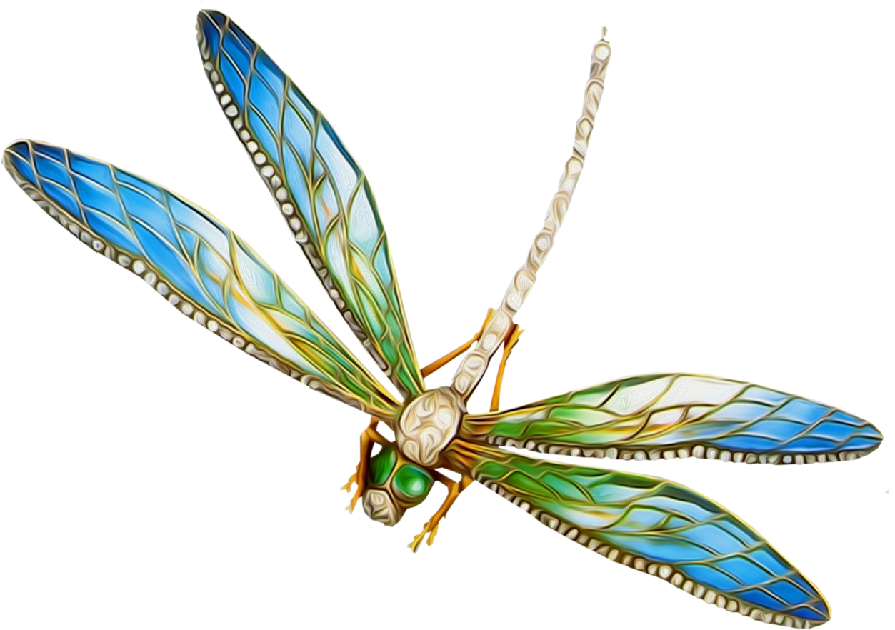 Фото, Автор Иришка-манюшка На Яндекс (1280x911), Png Download