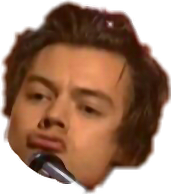 Louistomlinson Niallhoran Liampayne Zaynmalik Face (600x680), Png Download