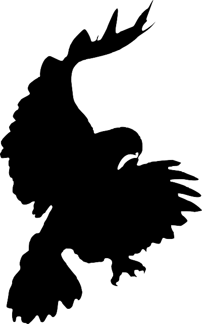 Silhouette, Cartoon, Eagle, Bird, Crow, Flying, Falcon - Hawk Silhouette Transparent (400x640), Png Download