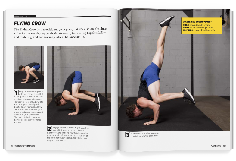 Flying Crow - Flight (847x576), Png Download