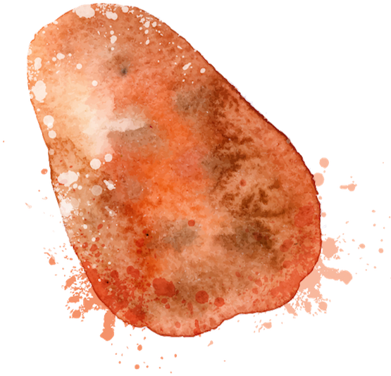 Omani Pink Sweet Potato - Watercolor Paint (600x600), Png Download