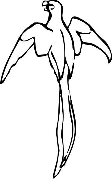 How To Set Use Flying Parrot Svg Vector (372x596), Png Download