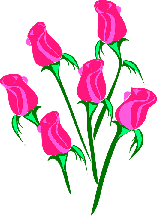 Flower Vector - Clip Art Rose Flowers (432x594), Png Download