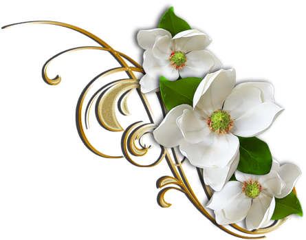 Floral Vector Design - White Flower Clipart Png (500x398), Png Download