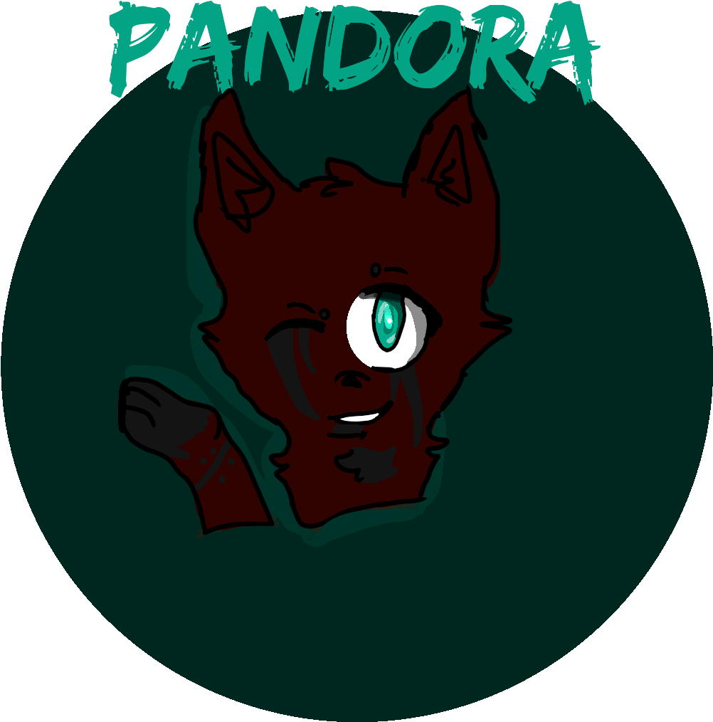 Pandora Happy - Stakeholder Engagement (1600x1200), Png Download