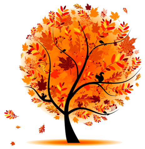 Autumn Tree Rh - Autumn Png (463x477), Png Download