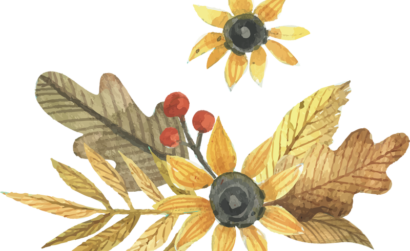 Adobe Illustrator Watercolor Autumn Leaves 4360*3121 - Watercolor Fall Leaves Clip Art (800x491), Png Download