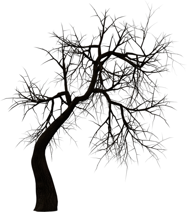 Kuntilanak Terbang Tree Clip Art - Horror Png For Picsart (650x736), Png Download