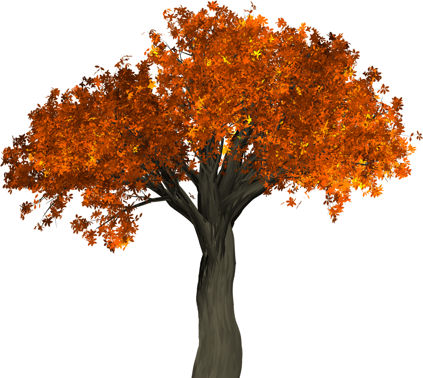 Transparent Background Autumn Tree Png (1600x1382), Png Download