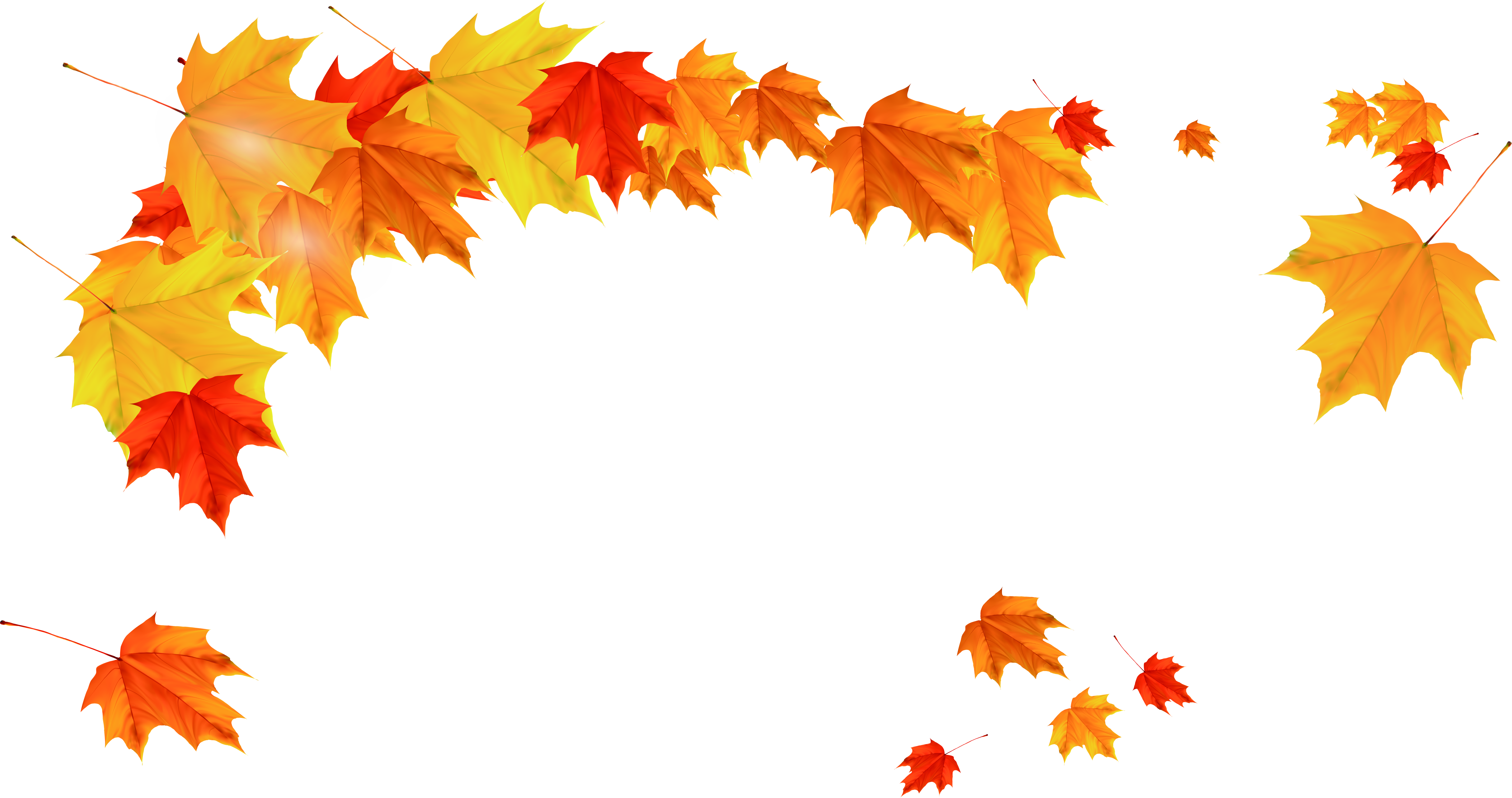 Fall Leaves Falling Png - Yellow Leaves Border Png (6704x3539), Png Download