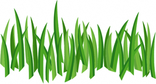 Green Grass Five - Cartoon Grass Transparent Background (500x272), Png Download