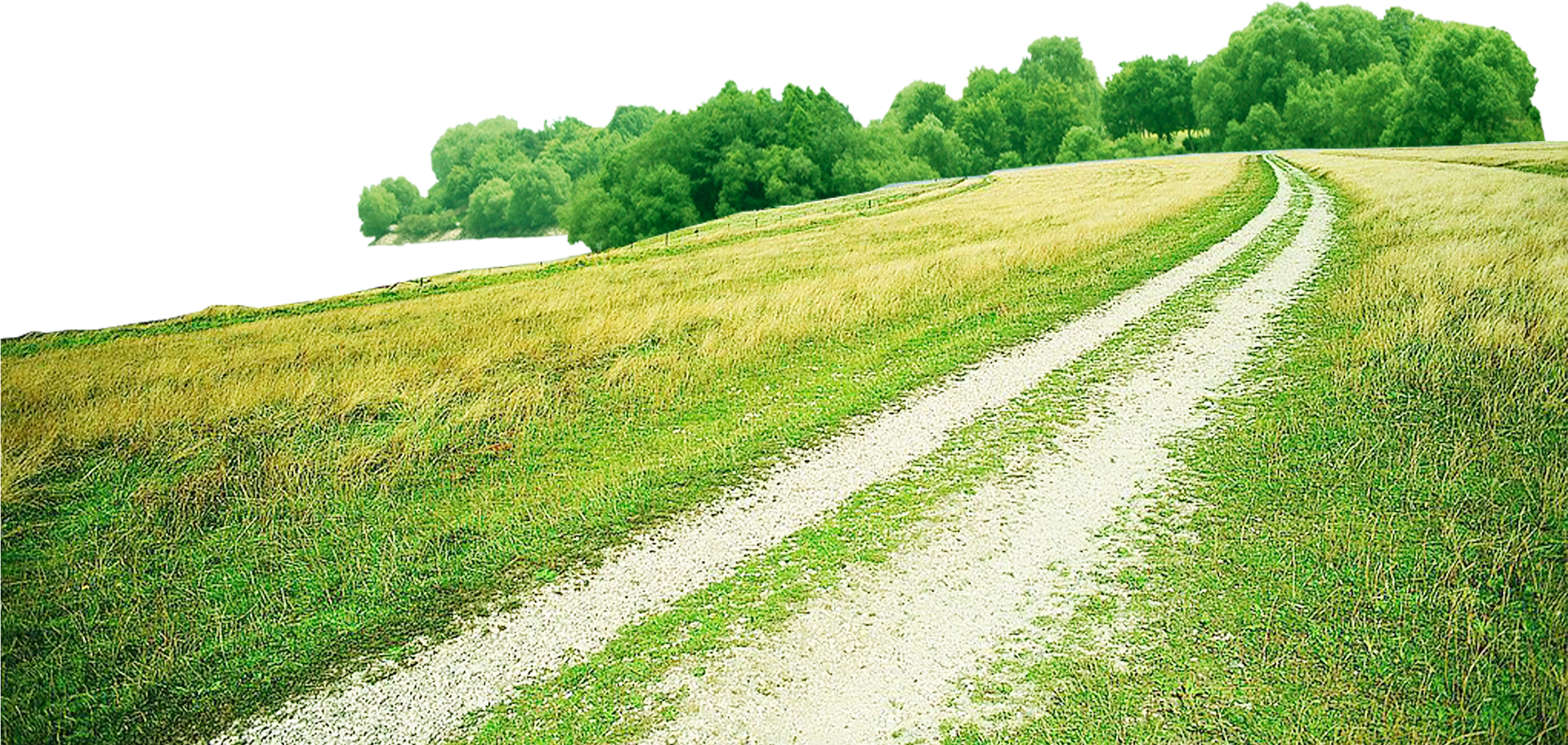 Svg Library Library Green Transprent Free Download - Digital Manipulation Basics - Book (2362x2094), Png Download