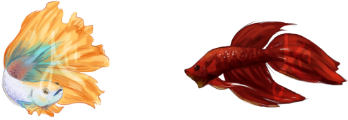 $10 Fish Commissions - English Marigold (540x227), Png Download