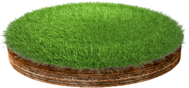3d Grass With Soil Layer - Grass 3d Png (800x600), Png Download