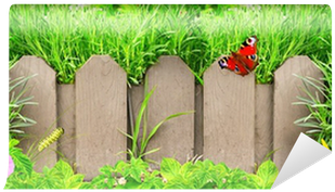 Wooden Fence, Flowers And Green Grass Wall Mural • - Picket Fence (400x400), Png Download