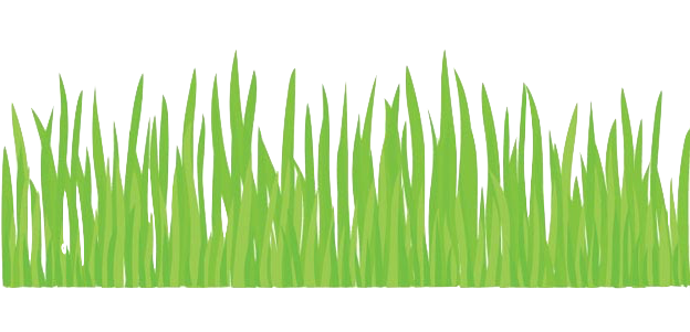 Grass Bleft - Simple Picture Of Grass (660x660), Png Download