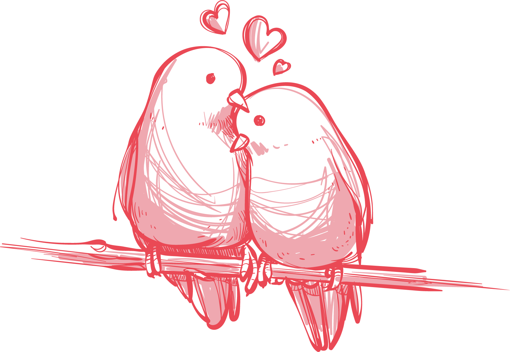 Bird Valentine - Wedding Love Birds Vector (1745x1204), Png Download
