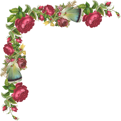 Álbum De Imágenes Para La Inspiración - Feathers (480x480), Png Download