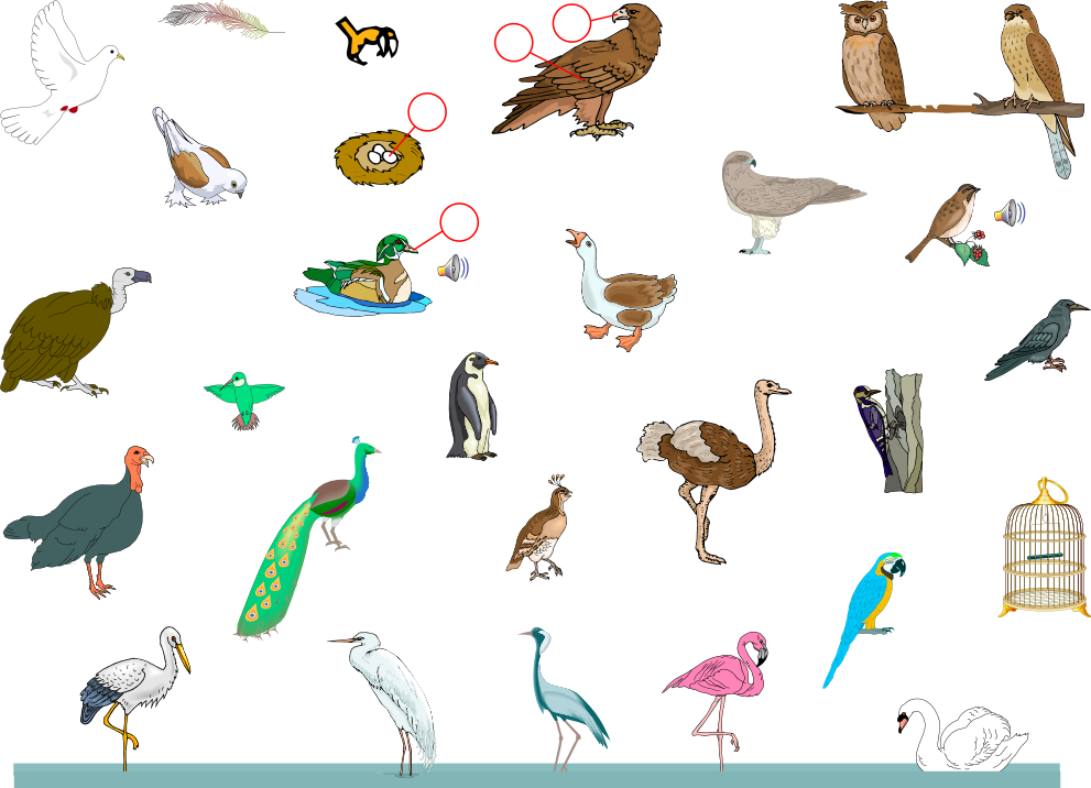 Free Birds - Birds (991x716), Png Download