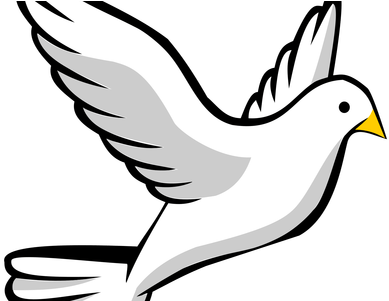 Colorful Flying Birds Png K Pictures Full - Dove Clipart (450x300), Png Download