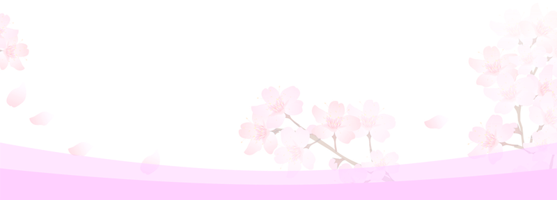 Sakura Experience Japanese Culture In Kyoto Tea Ceremony - Moth Orchid (800x288), Png Download