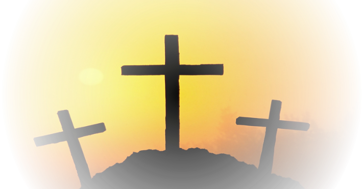 Cross - Pest Control (711x370), Png Download