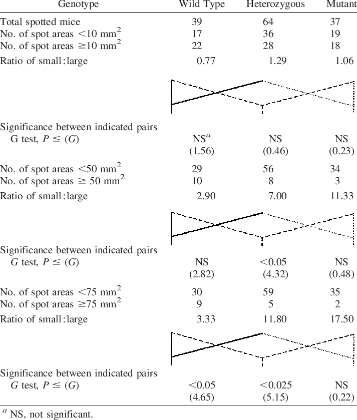Comparing Area Of Reversion In Spotted Mice Wild Type, (713x839), Png Download