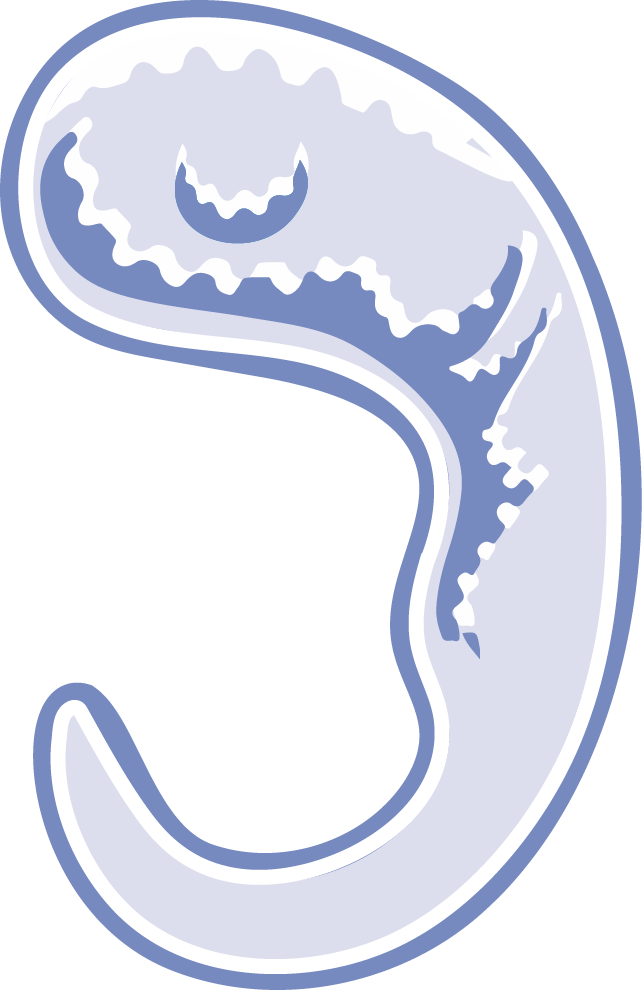 Dna Icon Png (642x990), Png Download