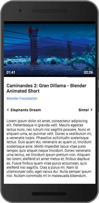 Media Player Showing Video Metadata (1024x768), Png Download