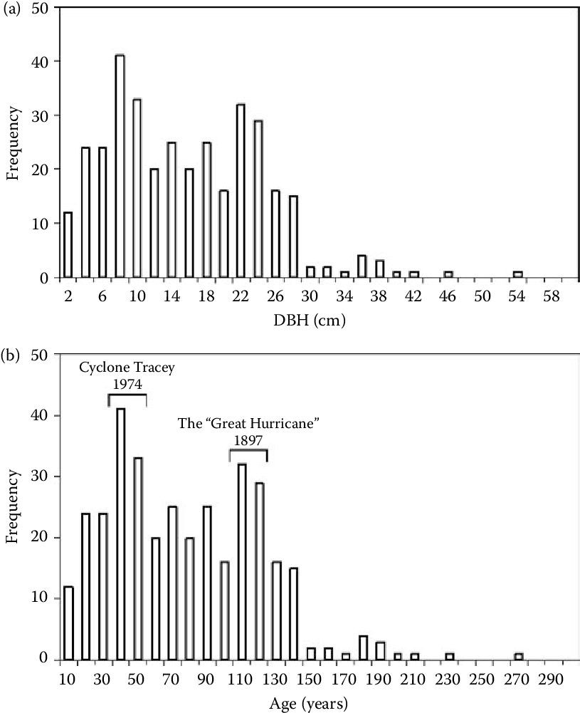 5 Size Class Distribution Of All Eucalyptus And Corymbia (815x1008), Png Download
